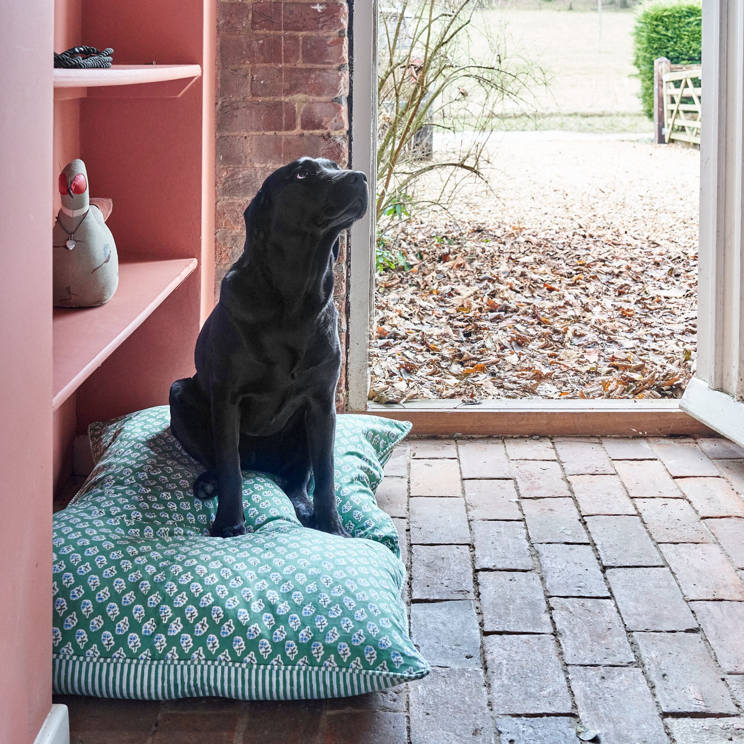 Apple Green Ditsy Dog Bed